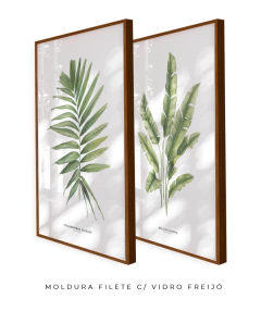 Quadro Decorativo Dupla PalmElegans + Heliconia - Flowersjuls - Quadros botânicos decorativos | Aquarelas autorais