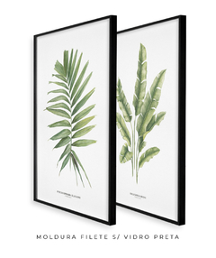 Quadro Decorativo Dupla PalmElegans + Heliconia