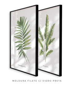 Imagem do Quadro Decorativo Dupla PalmElegans + Heliconia