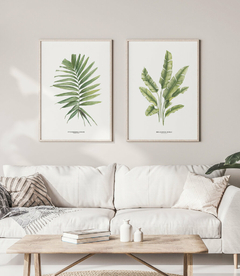 Quadro Decorativo Dupla PalmElegans + Heliconia