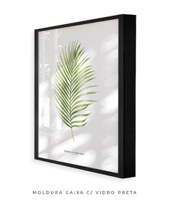 Quadro Decorativo Dypsis Lutescens - loja online