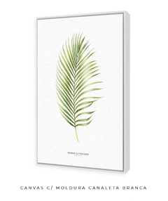 Quadro Decorativo Dypsis Lutescens - loja online