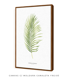 Quadro Decorativo Dypsis Lutescens - Flowersjuls - Quadros botânicos decorativos | Aquarelas autorais