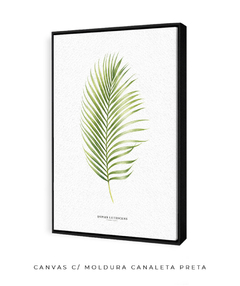 Imagem do Quadro Decorativo Dypsis Lutescens