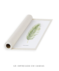 Quadro Decorativo Dypsis Lutescens - comprar online