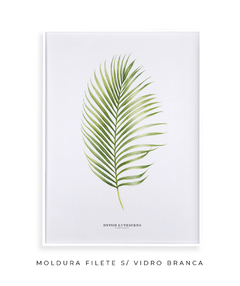 Quadro Decorativo Dypsis Lutescens - comprar online