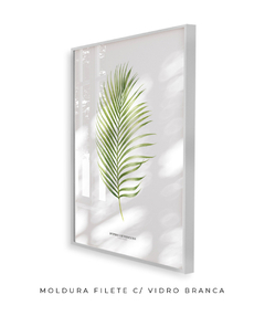 Imagem do Quadro Decorativo Dypsis Lutescens