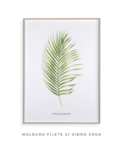 Quadro Decorativo Dypsis Lutescens - comprar online