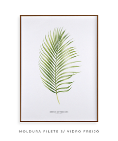 Quadro Decorativo Dypsis Lutescens - loja online