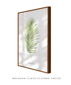 Quadro Decorativo Dypsis Lutescens - comprar online