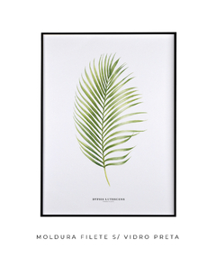 Imagem do Quadro Decorativo Dypsis Lutescens