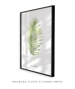 Quadro Decorativo Dypsis Lutescens - comprar online