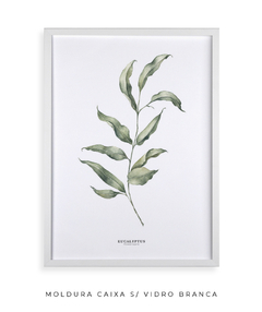 Quadro Decorativo Eucalipto I - loja online