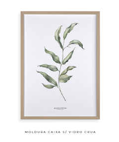 Quadro Decorativo Eucalipto I - comprar online