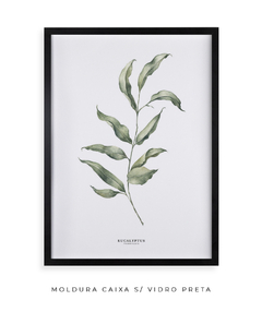 Quadro Decorativo Eucalipto I - loja online