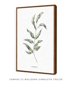 Quadro Decorativo Eucalipto I - comprar online