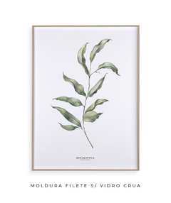 Quadro Decorativo Eucalipto I - Flowersjuls - Quadros botânicos decorativos | Aquarelas autorais