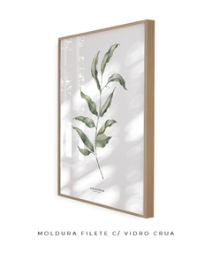 Quadro Decorativo Eucalipto I - loja online