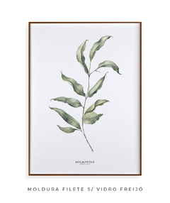 Quadro Decorativo Eucalipto I