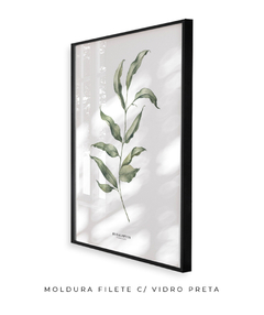 Quadro Decorativo Eucalipto I - loja online