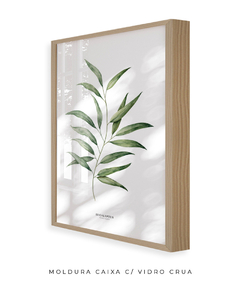 Quadro Decorativo Eucalyptus