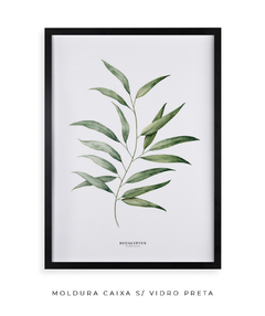 Quadro Decorativo Eucalyptus - Flowersjuls - Quadros botânicos decorativos | Aquarelas autorais