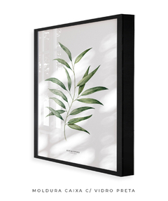 Quadro Decorativo Eucalyptus - loja online