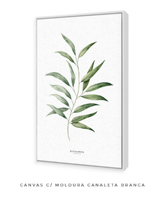 Quadro Decorativo Eucalyptus - loja online