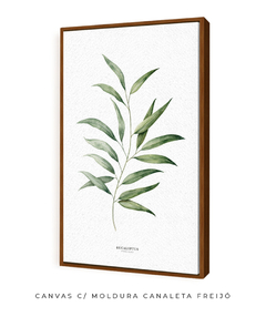 Quadro Decorativo Eucalyptus