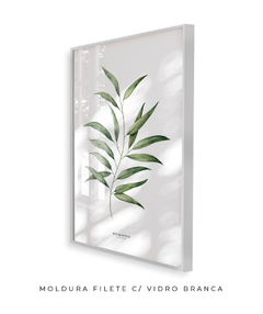 Quadro Decorativo Eucalyptus