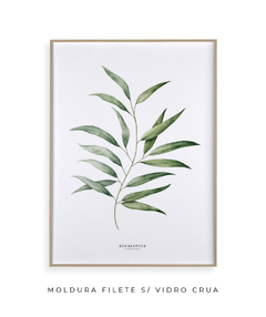 Quadro Decorativo Eucalyptus na internet