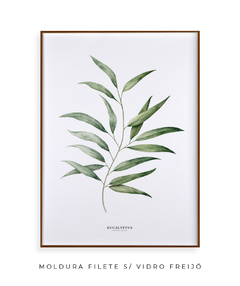 Quadro Decorativo Eucalyptus - comprar online