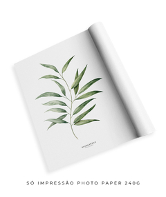 Quadro Decorativo Eucalyptus - comprar online