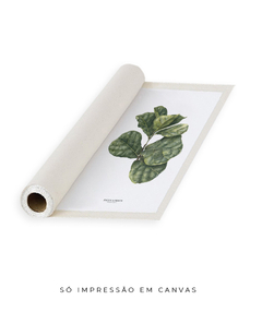 Quadro decorativo Ficus Lyrata