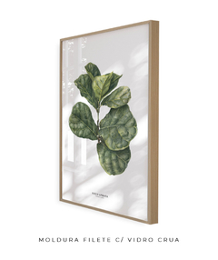 Quadro decorativo Ficus Lyrata