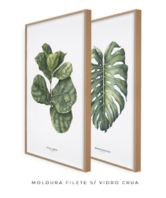 Quadro Decorativo Ficus Lyrata + Monstera Deliciosa - loja online