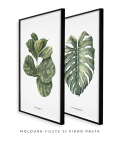 Quadro Decorativo Ficus Lyrata + Monstera Deliciosa na internet