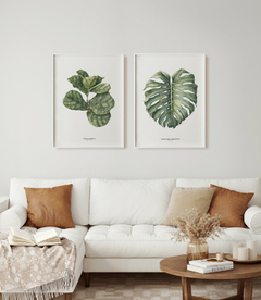 Quadro Decorativo Ficus Lyrata + Monstera Deliciosa