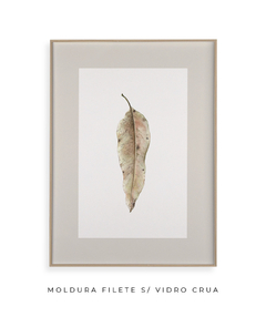 Quadro Decorativo Folha Eucalipto Inverno I