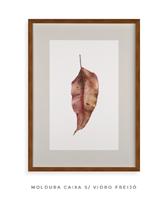 Quadro Decorativo Folha Eucalipto Inverno II - comprar online