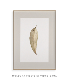 Quadro Decorativo Folha Eucalipto Inverno IV