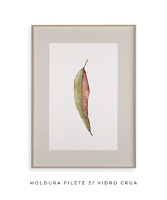 Quadro Decorativo Folha Eucalipto Inverno VI