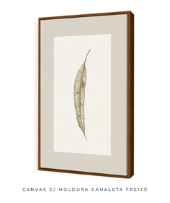 Quadro Decorativo Folha Eucalipto Inverno VII - comprar online