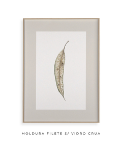 Quadro Decorativo Folha Eucalipto Inverno VII