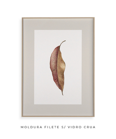 Quadro Decorativo Folha Eucalipto Inverno VIII