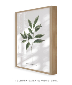 Quadro Decorativo Galho Jasmim Gardênia - comprar online