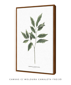 Quadro Decorativo Galho Jasmim Gardênia