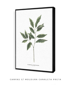 Quadro Decorativo Galho Jasmim Gardênia - comprar online