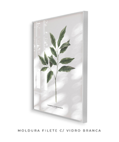 Quadro Decorativo Galho Jasmim Gardênia - comprar online