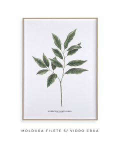 Imagem do Quadro Decorativo Galho Jasmim Gardênia